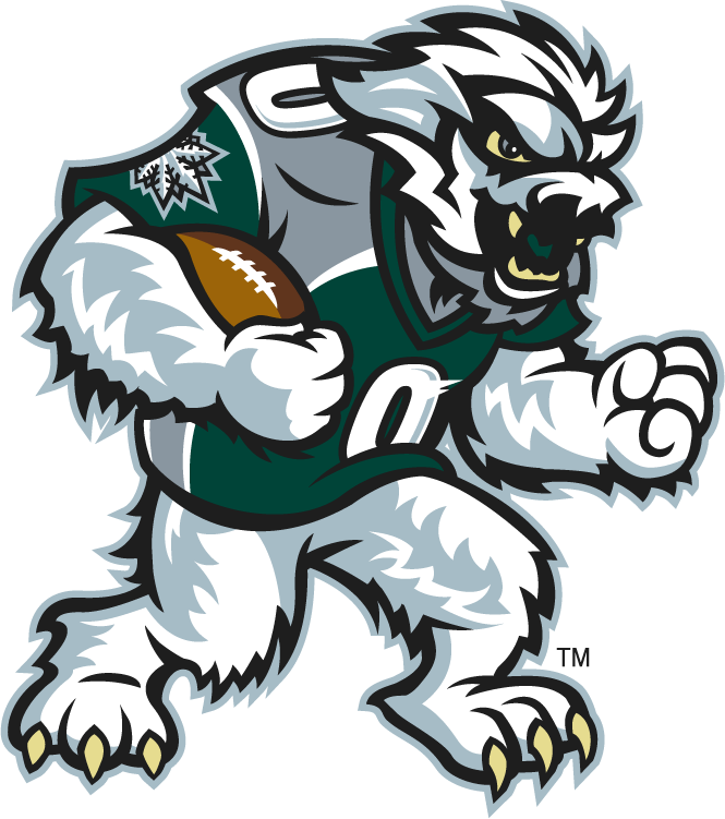 Green Bay Blizzard 2010-2014 Mascot Logo iron on transfers for T-shirts
